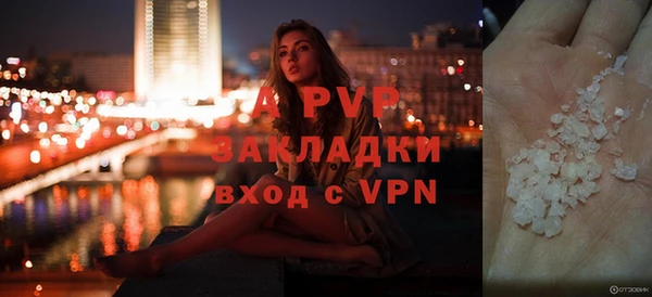 шишки Богородицк