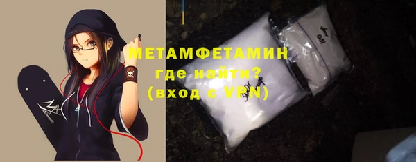 шишки Богородицк
