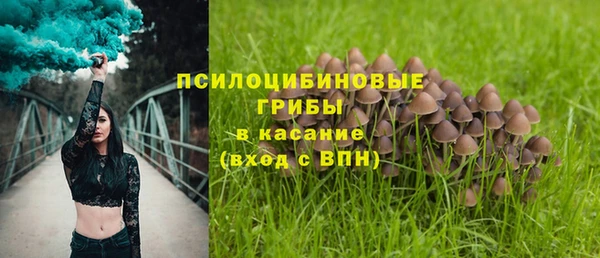 шишки Богородицк