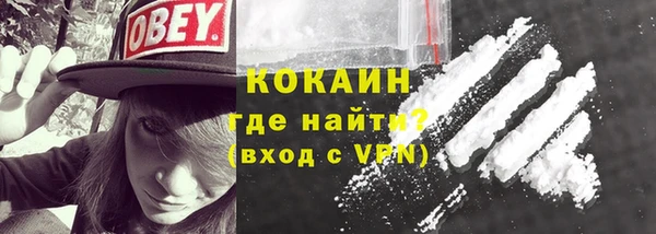 шишки Богородицк
