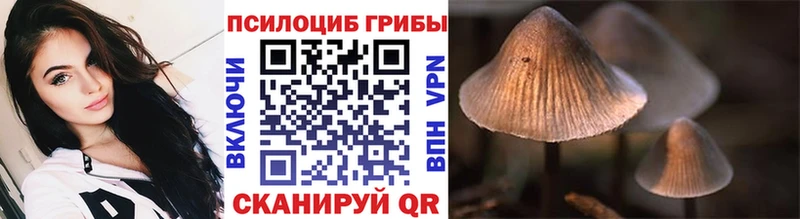 ОМГ ОМГ маркетплейс  нарко площадка формула  Галлюциногенные грибы Magic Shrooms  наркота  Высоковск 